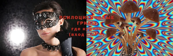 винт Абинск