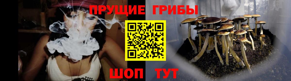 Псилоцибиновые грибы MAGIC MUSHROOMS  Псилоцибиновые грибы ЛСД  Якутск  Вход с VPN 